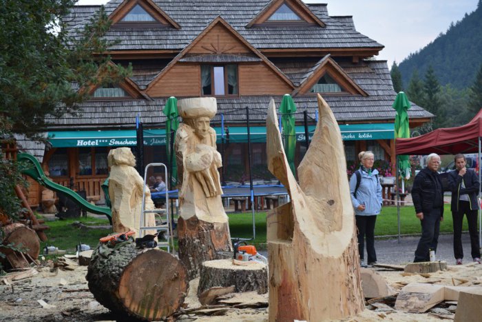 Ilustračný obrázok k článku Jánska dolina sa zmení na drevené kráľovstvo: Neoficiálne majstrovstvá sveta vo vyrezávaní drevených sôch už čoskoro!
